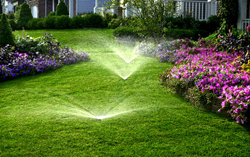 lawn sprinkler